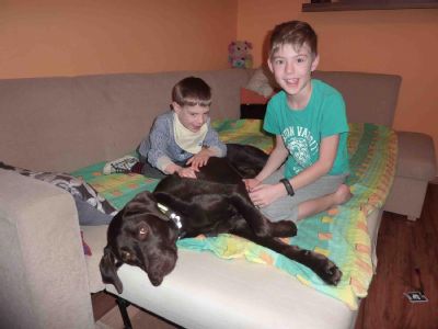 NADACE AGEL darovala 50 tisíc korun na výcvik asistenčního psa pro chlapce s hendikepem